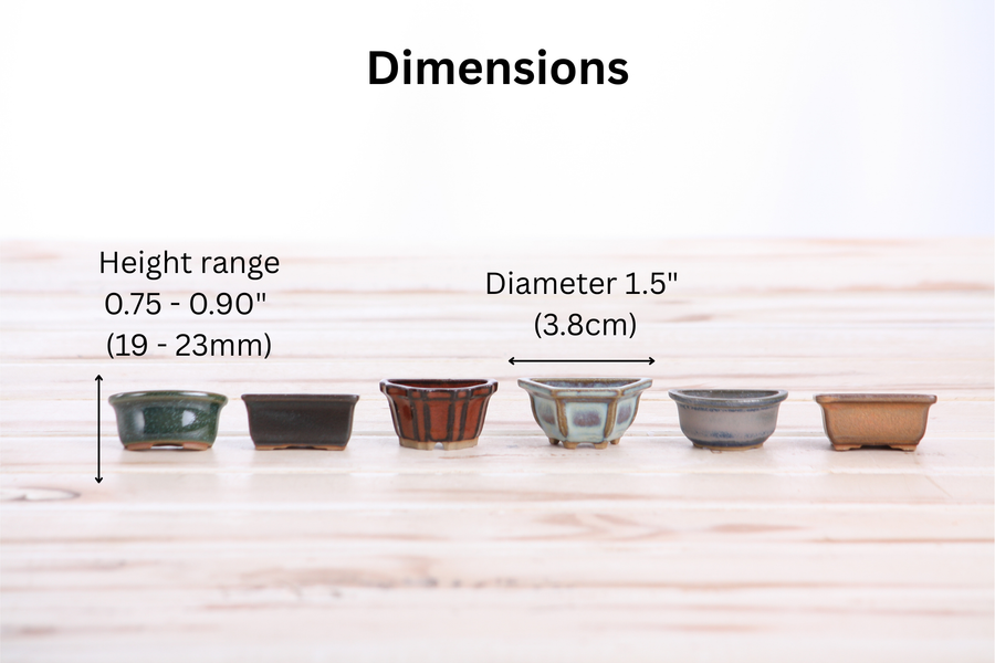 Dimensions of Mini Ceramic Bonsai Pot Magnets, 1.5 Inch - Set of 6