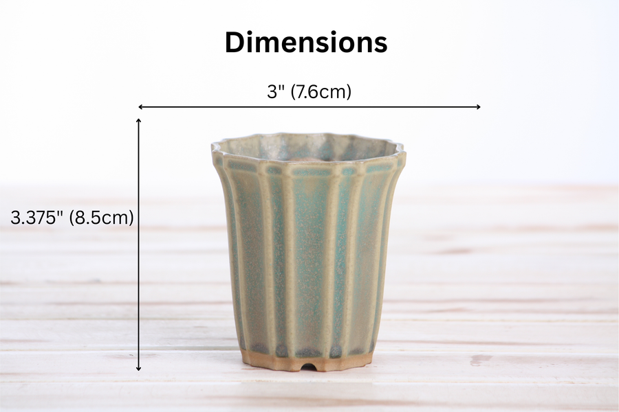 Dimensions of 3-Inch Flower Cascade Bonsai Pot - Speckled Moss
