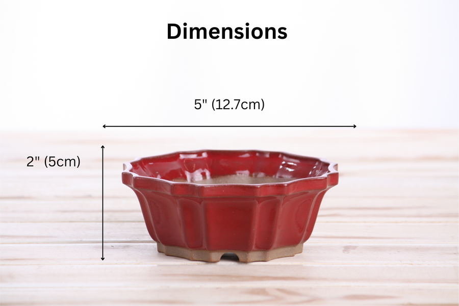 Dimensions of 5-Inch Flower Bonsai Pot - Red