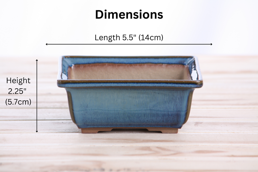 Dimensions of 5.5-Inch Square Bonsai Pot - Peacock 2025