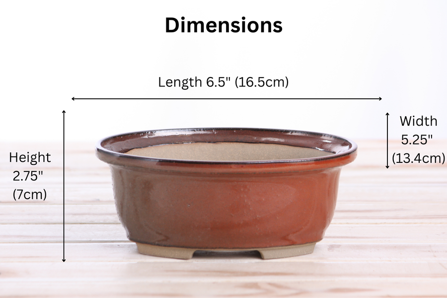 Dimensions of 6.5-Inch Fat Oval Bonsai Pot - Sunset