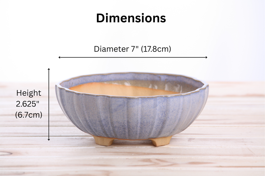 Dimensions of 7-Inch Lily Bonsai Pot - Denim