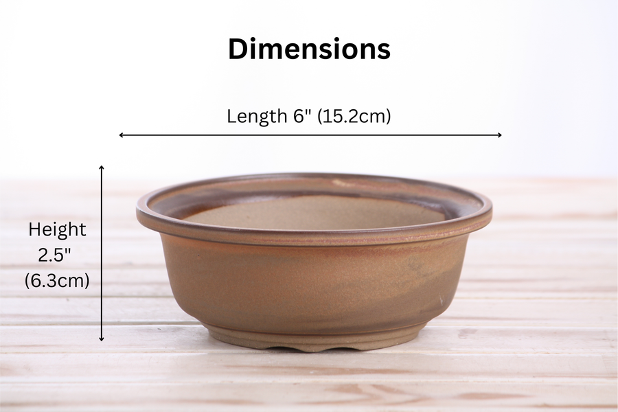 Dimensions of 6-Inch Round Bonsai Pot - Deep Stone