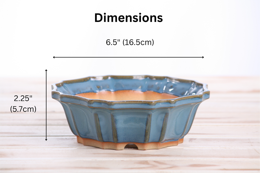 Dimensions of 6.5-Inch Flower Bonsai Pot - Peacock 2025
