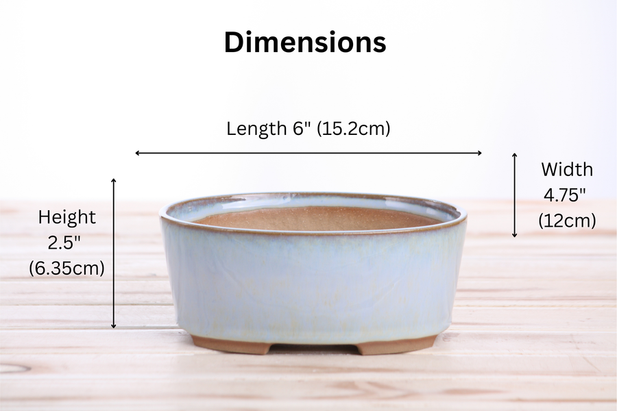 Dimensions of 6-Inch Oval A Bonsai Pot - Glacier