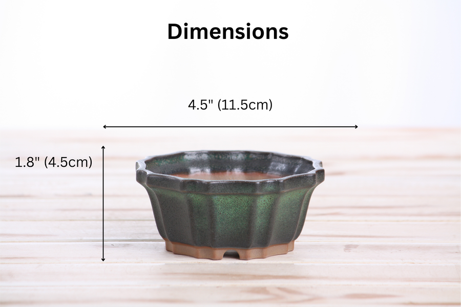 Dimensions of 4.5-Inch Flower Bonsai Pot - Avocado