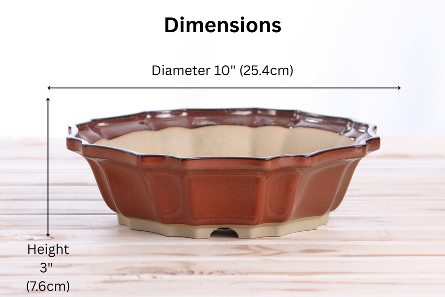 Dimensions of 10-Inch Flower Bonsai Pot - Sunset