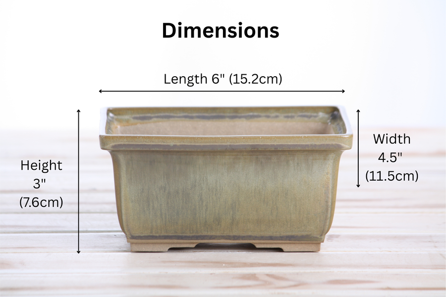 Dimensions of 6-Inch Rectangle Deep Bonsai Pot - Copenhagen