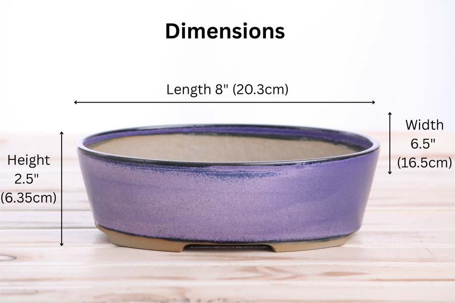 Dimensions of 8-Inch Oval A Bonsai Pot - Purple