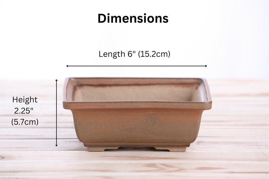 Dimensions of 6-Inch Square Bonsai Pot - Deep Stone