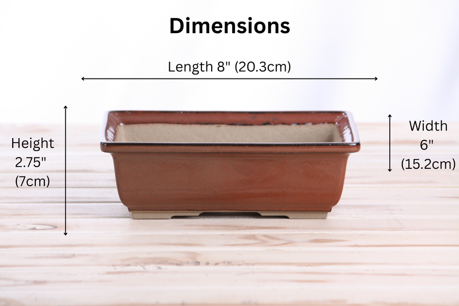 Dimensions of 8-Inch Rectangle Bonsai Pot - Sunset