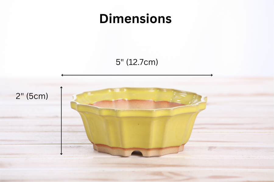 Dimensions of 5-Inch Flower Bonsai Pot - Yellow