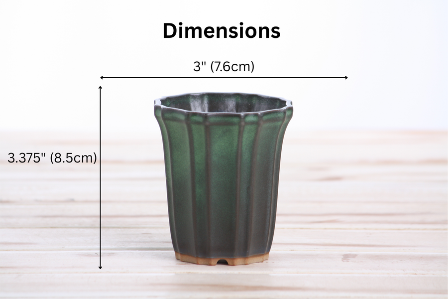 Dimensions of 3-Inch Flower Cascade Bonsai Pot - Avocado