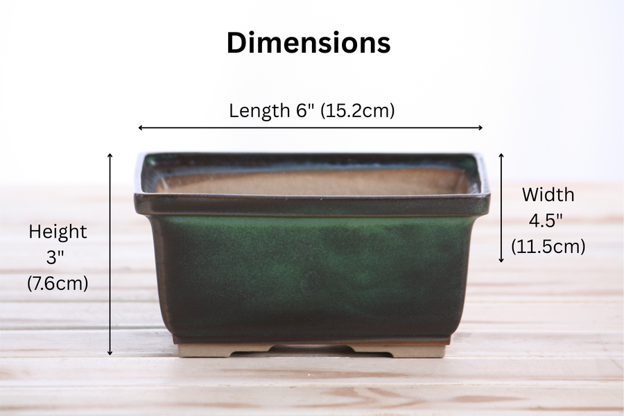 Dimensions of 6-Inch Rectangle Deep Bonsai Pot - Avocado