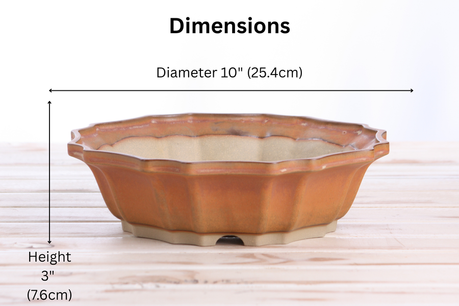 Dimensions of 10-Inch Flower Bonsai Pot - Deep Stone