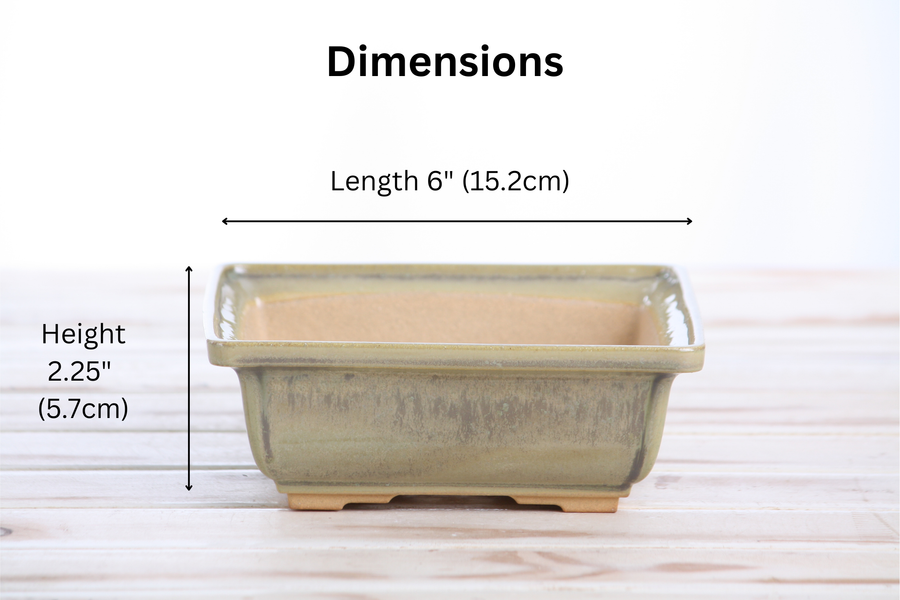 Dimensions of 6-Inch Square Bonsai Pot - Copenhagen