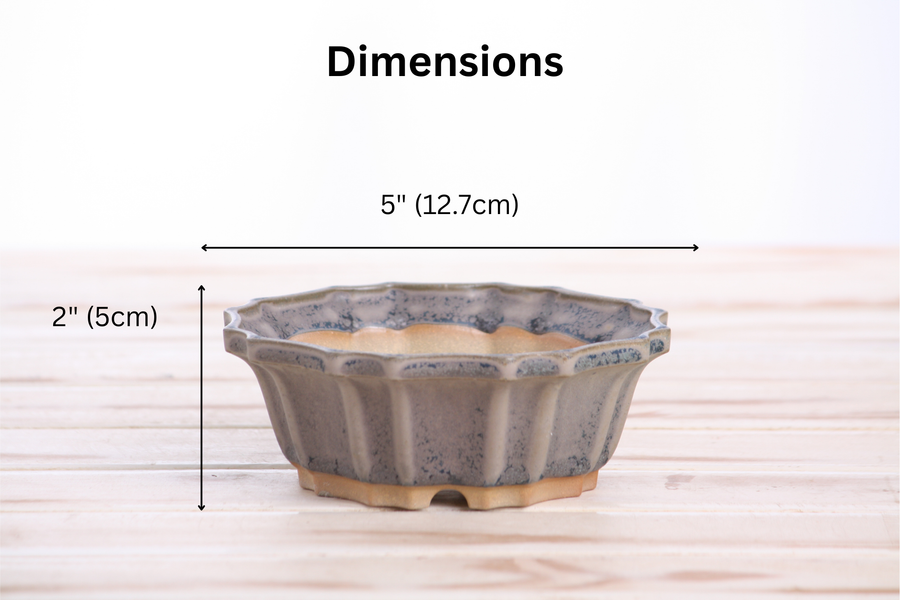 Dimensions of 5-Inch Flower Bonsai Pot - Ocean