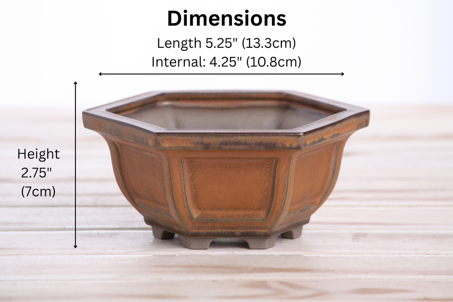 Dimensions of 5-Inch Hexagonal Windowed Semi-Cascade Bonsai Pot - Deep Stone