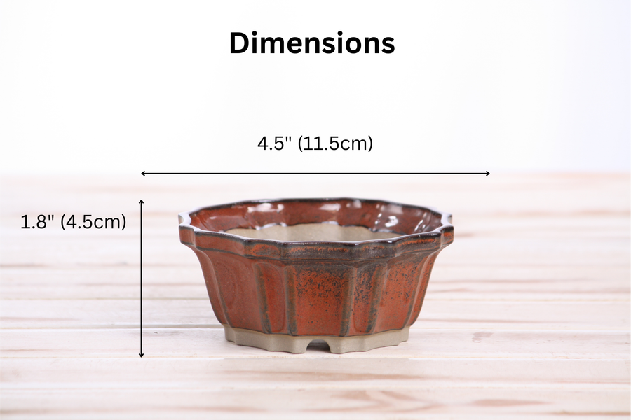 Dimensions of 4.5-Inch Flower Bonsai Pot - Sunset