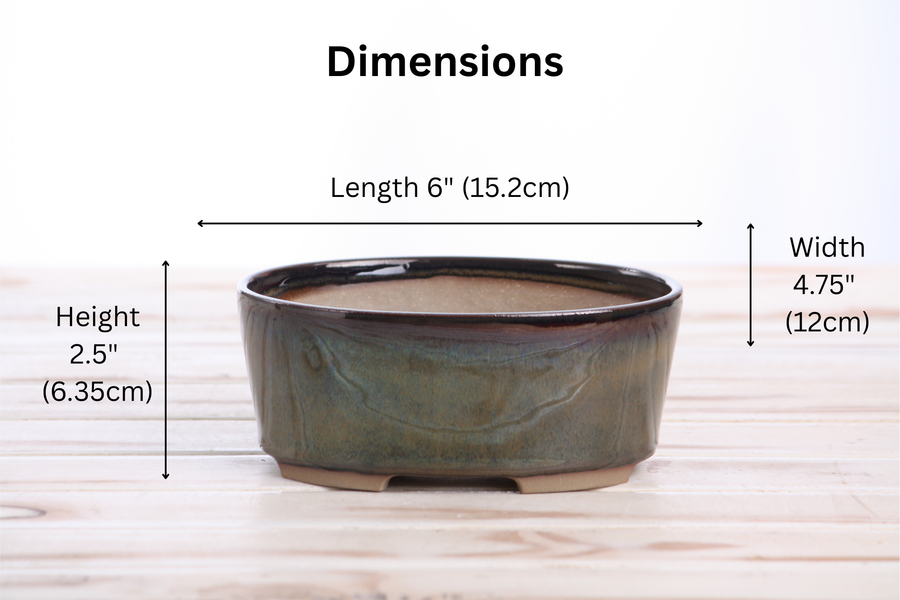 Dimensions of 6-Inch Oval A Bonsai Pot - Dark Honey