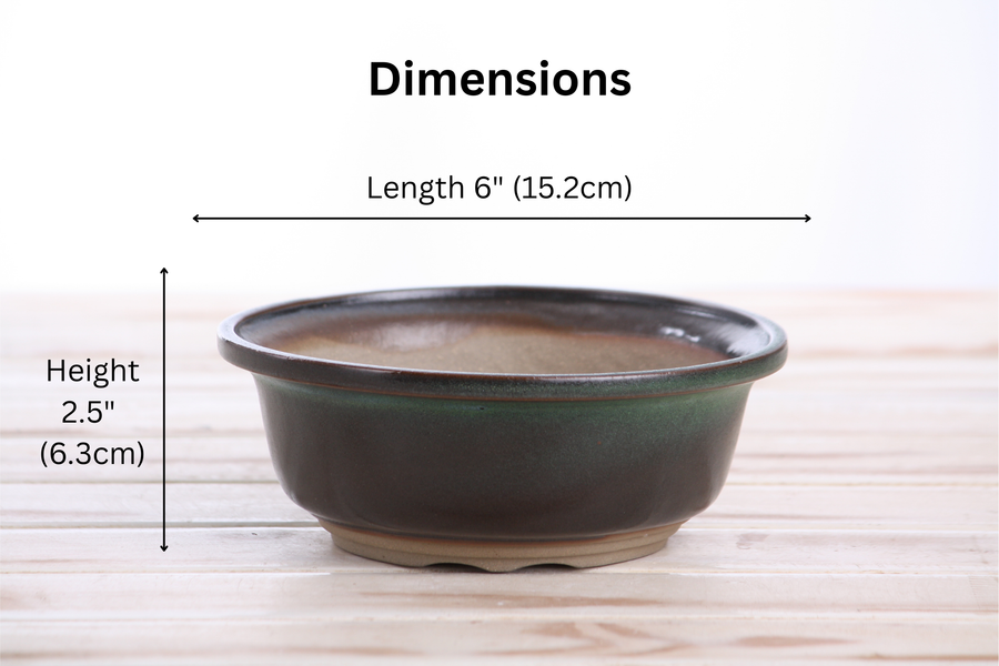 Dimensions of 6-Inch Round Bonsai Pot - Avocado