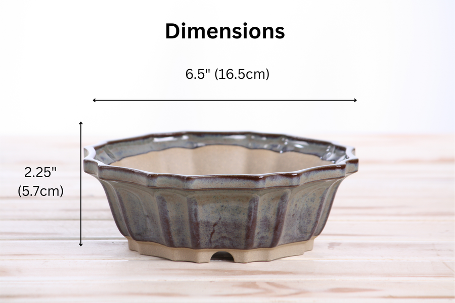 Dimensions of 6.5-Inch Flower Bonsai Pot - Starry Night