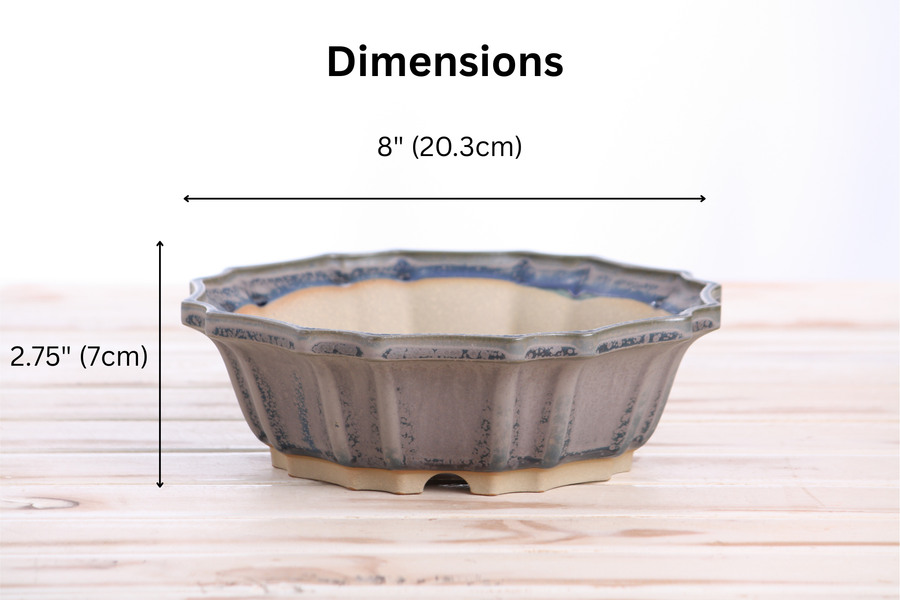 Dimensions of 8-Inch Flower Bonsai Pot - Ocean