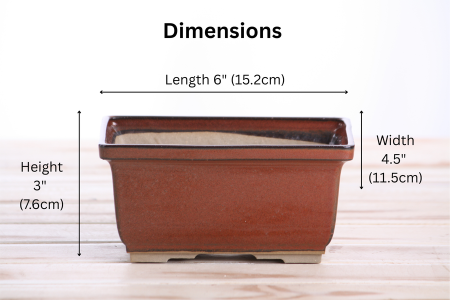 Dimensions of 6-Inch Rectangle Deep Bonsai Pot - Sunset