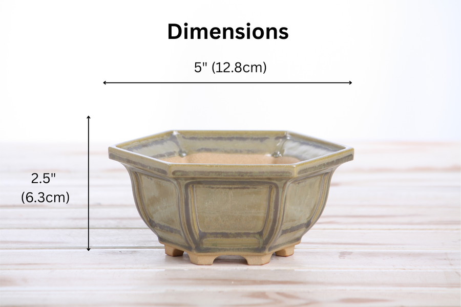 Dimensions of 5-Inch Hexagonal Windowed Bonsai Pot - Copenhagen