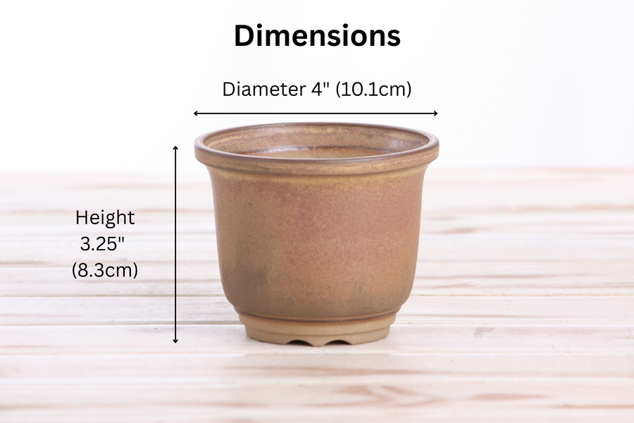 Dimensions of 4-Inch Flute Bonsai Pot - Deep Stone