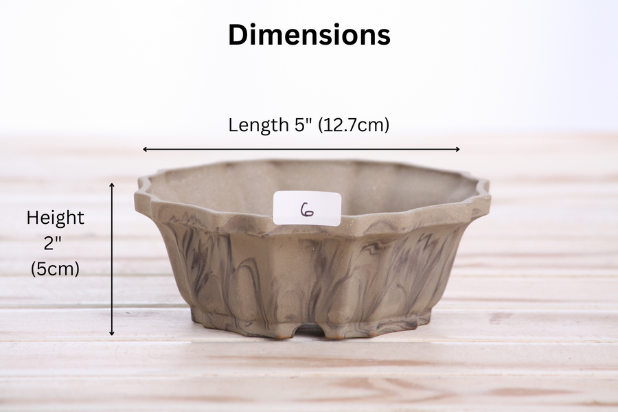 Dimensions of 5-Inch Flower Bonsai Pot - Marbled No. 6