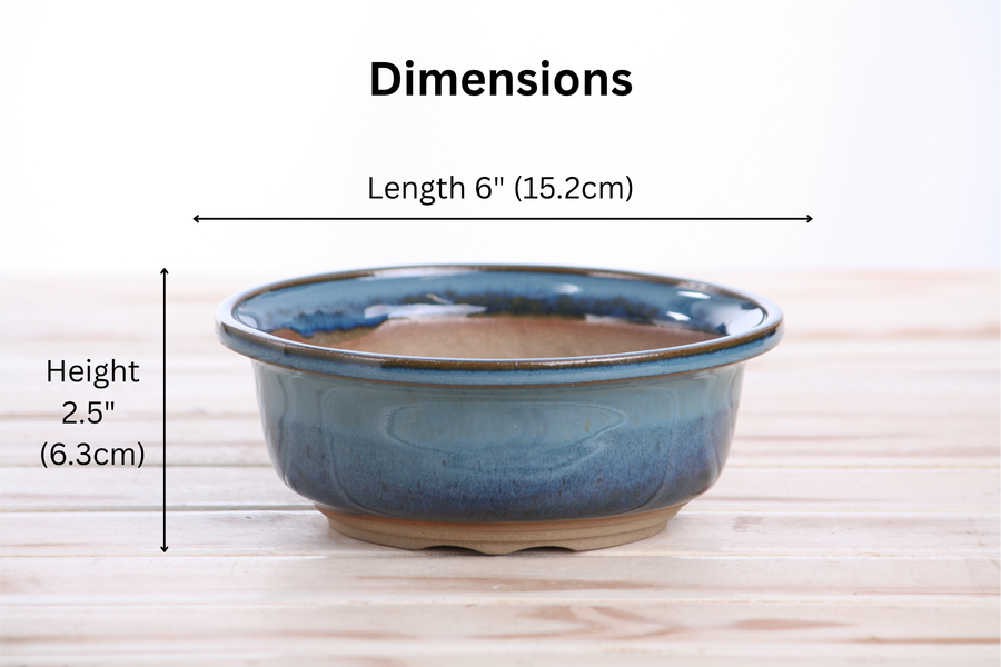 Dimensions of 6-Inch Round Bonsai Pot - Peacock 2025