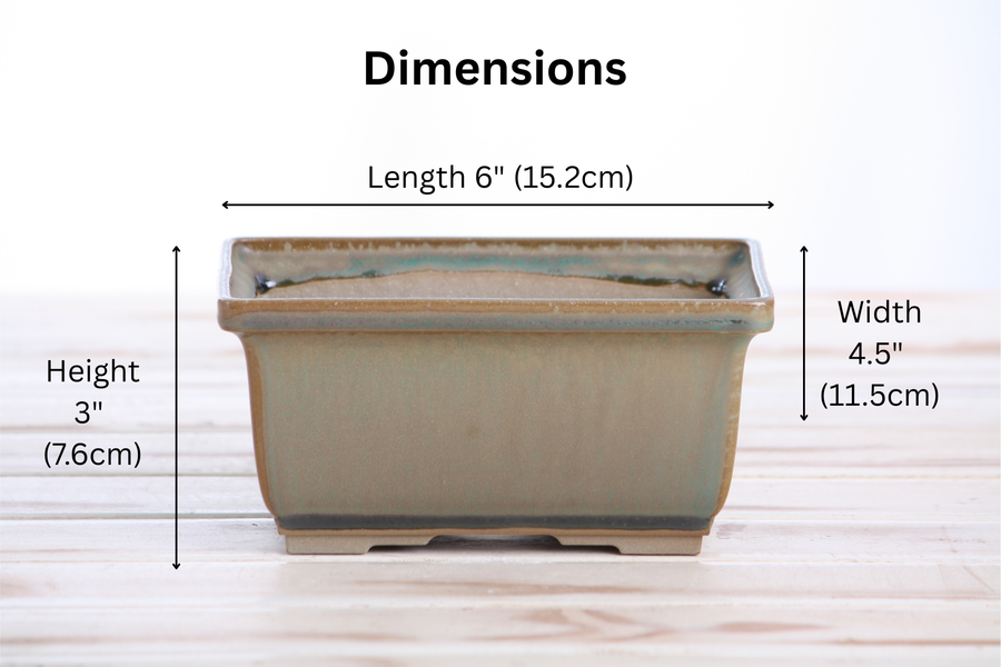 Dimensions of 6-Inch Rectangle Deep Bonsai Pot - Speckled Moss