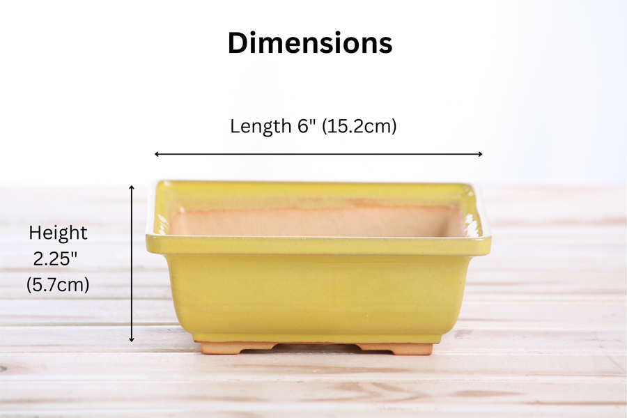 Dimensions of 6-Inch Square Bonsai Pot - Yellow