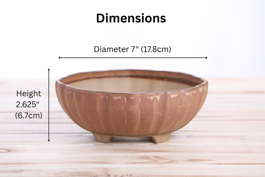Dimensions of 7-Inch Lily Bonsai Pot - Deep Stone