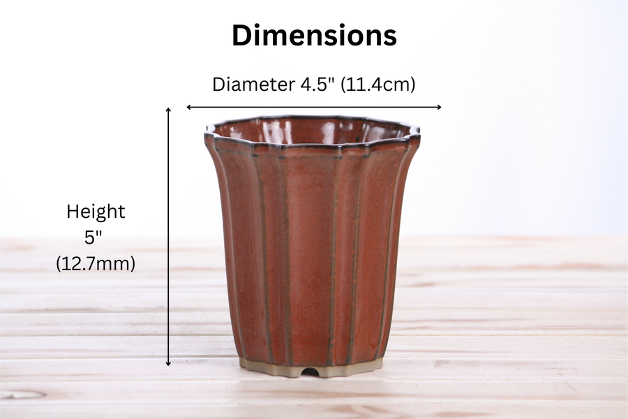 Dimensions of 4.5-Inch Flower Cascade Bonsai Pot - Sunset