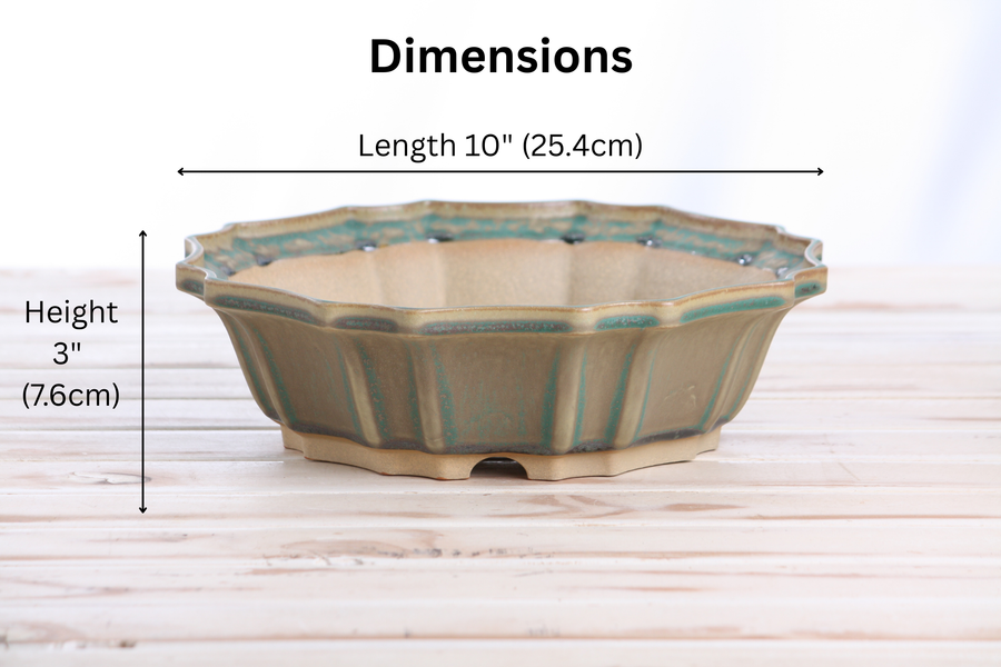 Dimensions of 10-Inch Flower Bonsai Pot - Speckled Moss