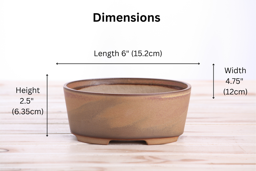 Dimensions of 6-Inch Oval A Bonsai Pot - Deep Stone