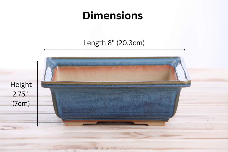 Dimensions of 8-Inch Square Bonsai Pot - Peacock 2025