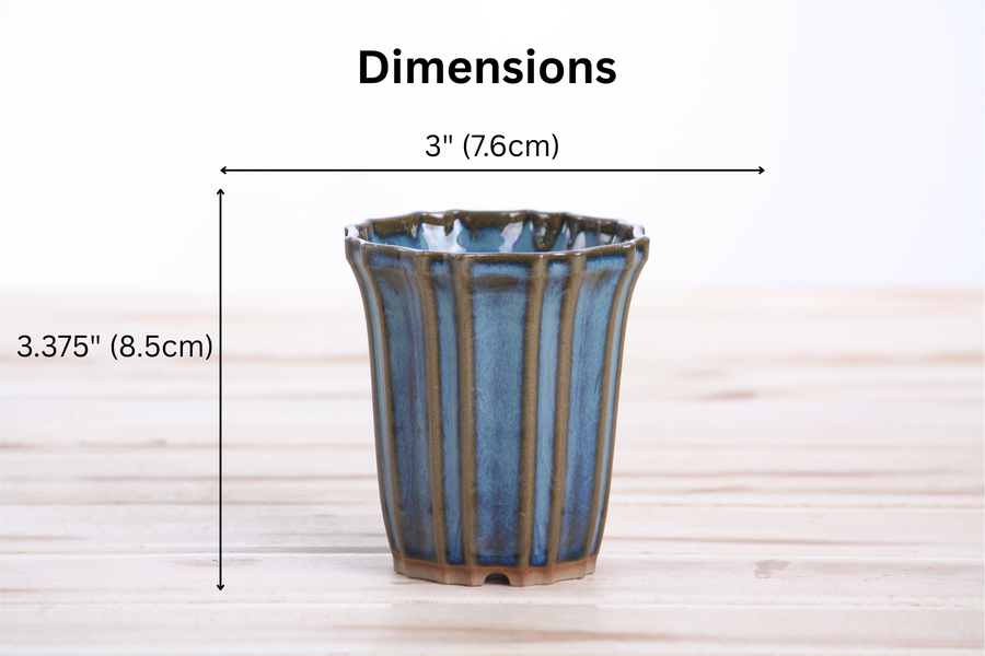 Dimensions of 3-Inch Flower Cascade Bonsai Pot - Peacock 2025