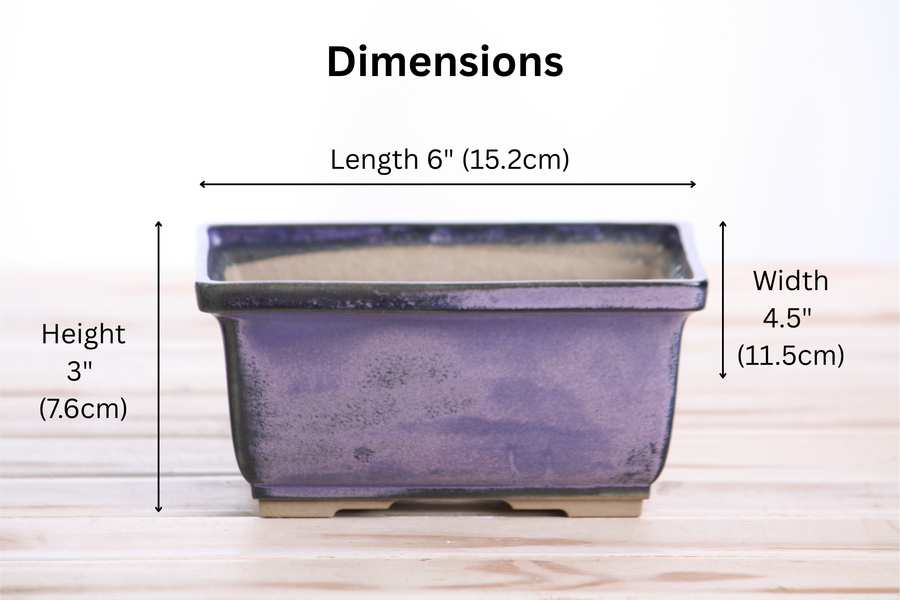 Dimensions of 6-Inch Rectangle Deep Bonsai Pot - Purple