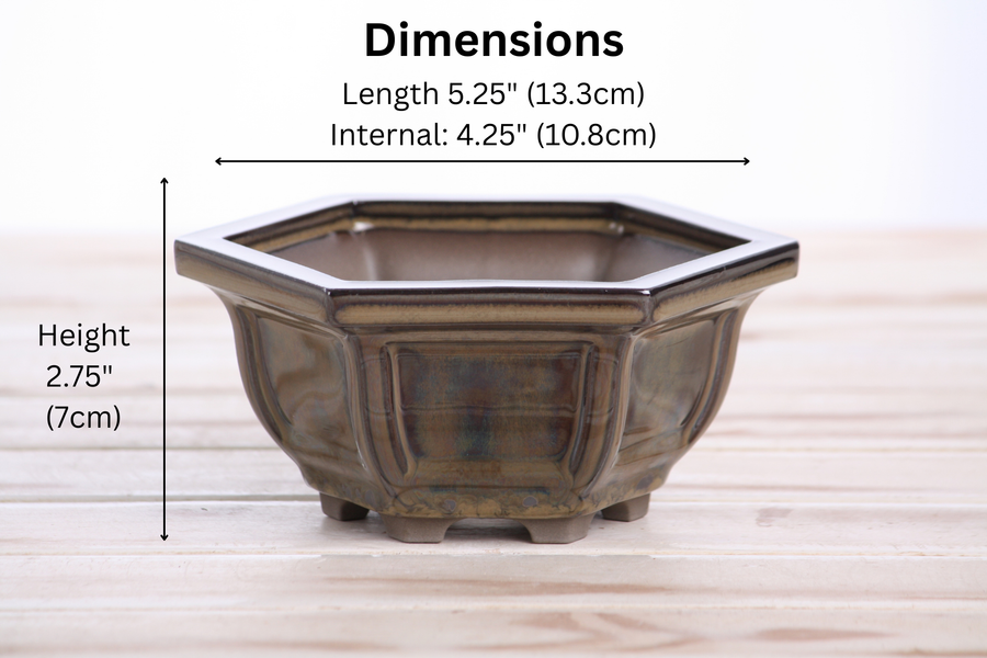 Dimensions of 5-Inch Hexagonal Windowed Semi-Cascade Bonsai Pot - Dark Honey