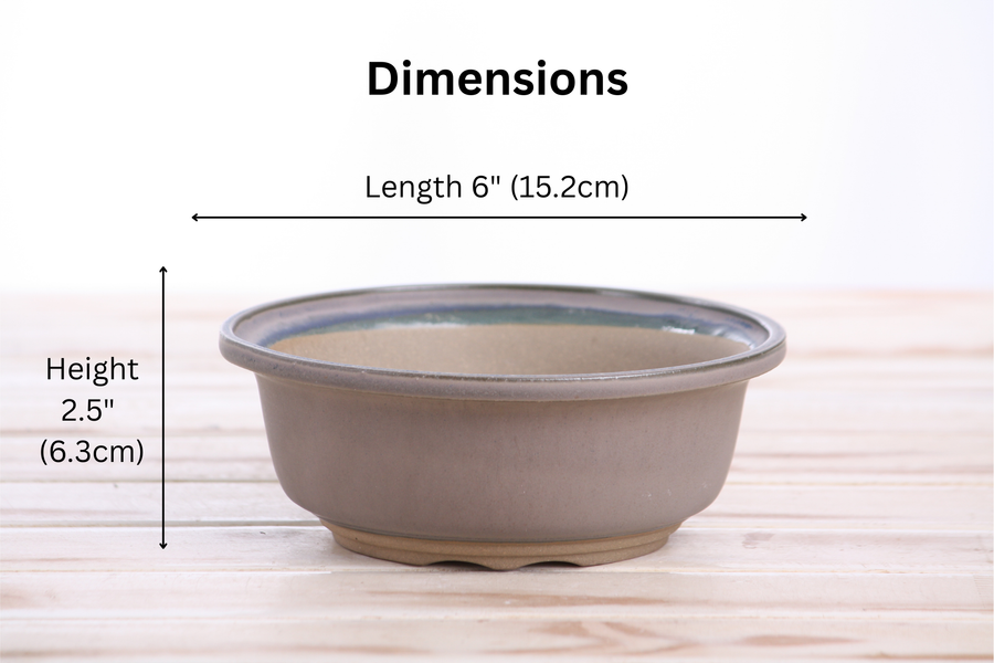 Dimensions of 6-Inch Round Bonsai Pot - Ocean