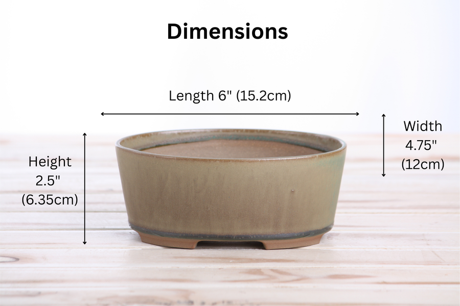 Dimensions of 6-Inch Oval A Bonsai Pot - Speckled Moss