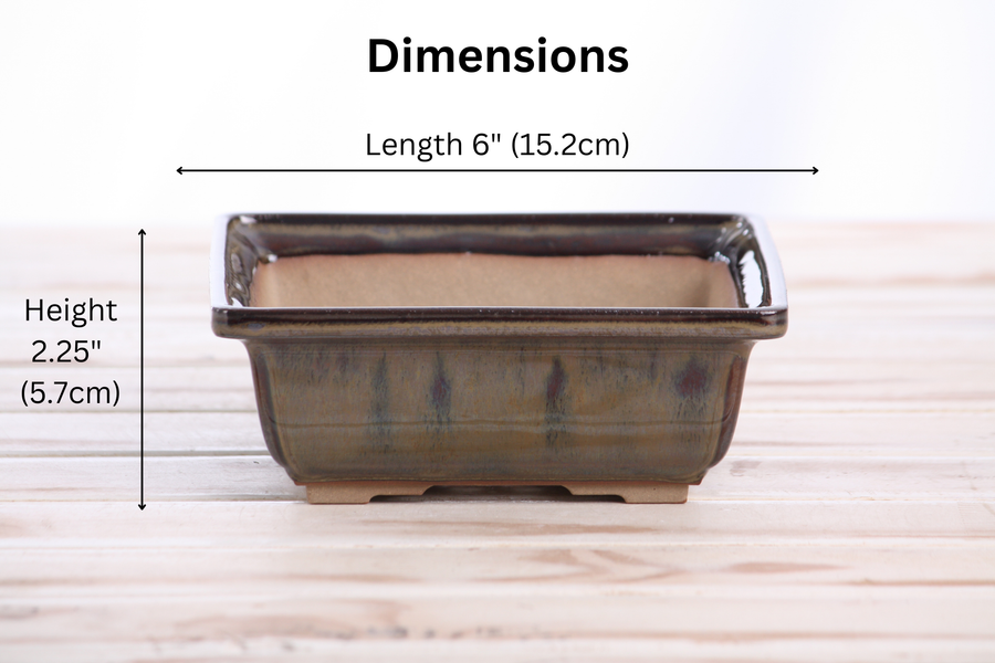 Dimensions of 6-Inch Square Bonsai Pot - Dark Honey