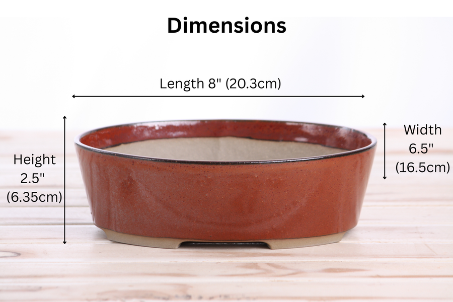 Dimensions of 8-Inch Oval A Bonsai Pot - Sunset