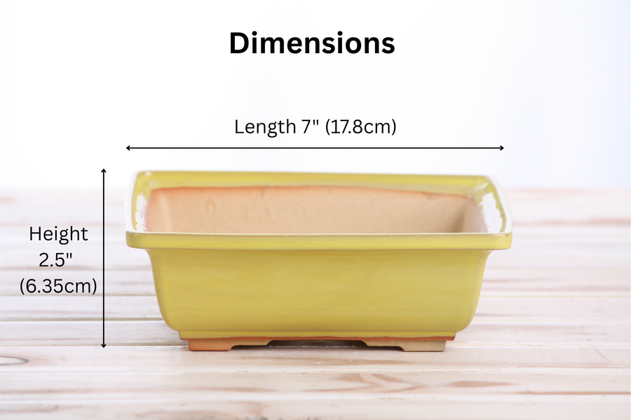 Dimensions of 7-Inch Square Bonsai Pot - Yellow