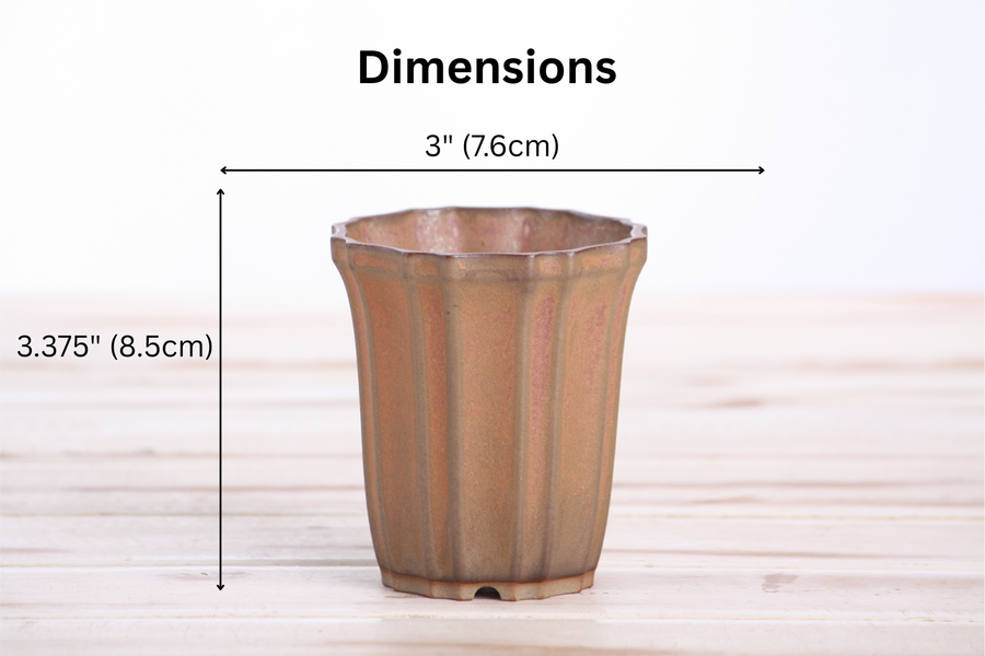 Dimensions of 3-Inch Flower Cascade Bonsai Pot - Deep Stone