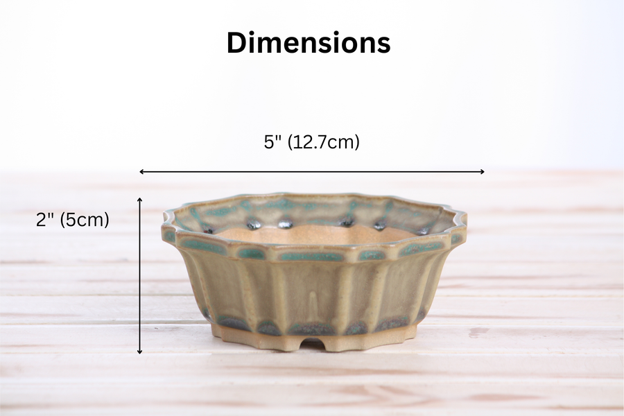 Dimensions of 5-Inch Flower Bonsai Pot - Speckled Moss