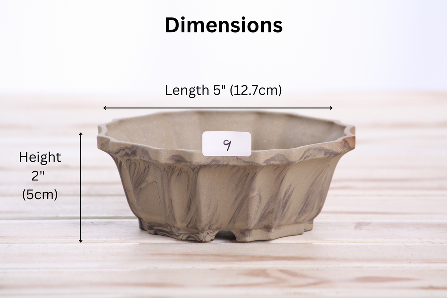 Dimensions of 5-Inch Flower Bonsai Pot - Marbled No. 9